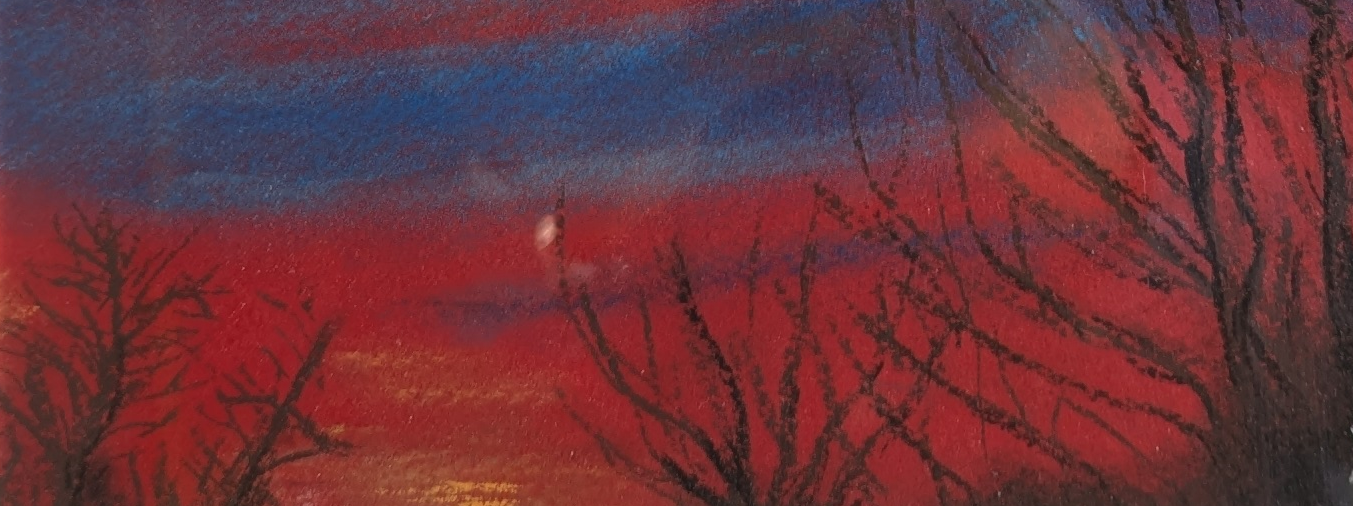 Gros plan sur le l'arbre et fond de ciel rouge écarlate