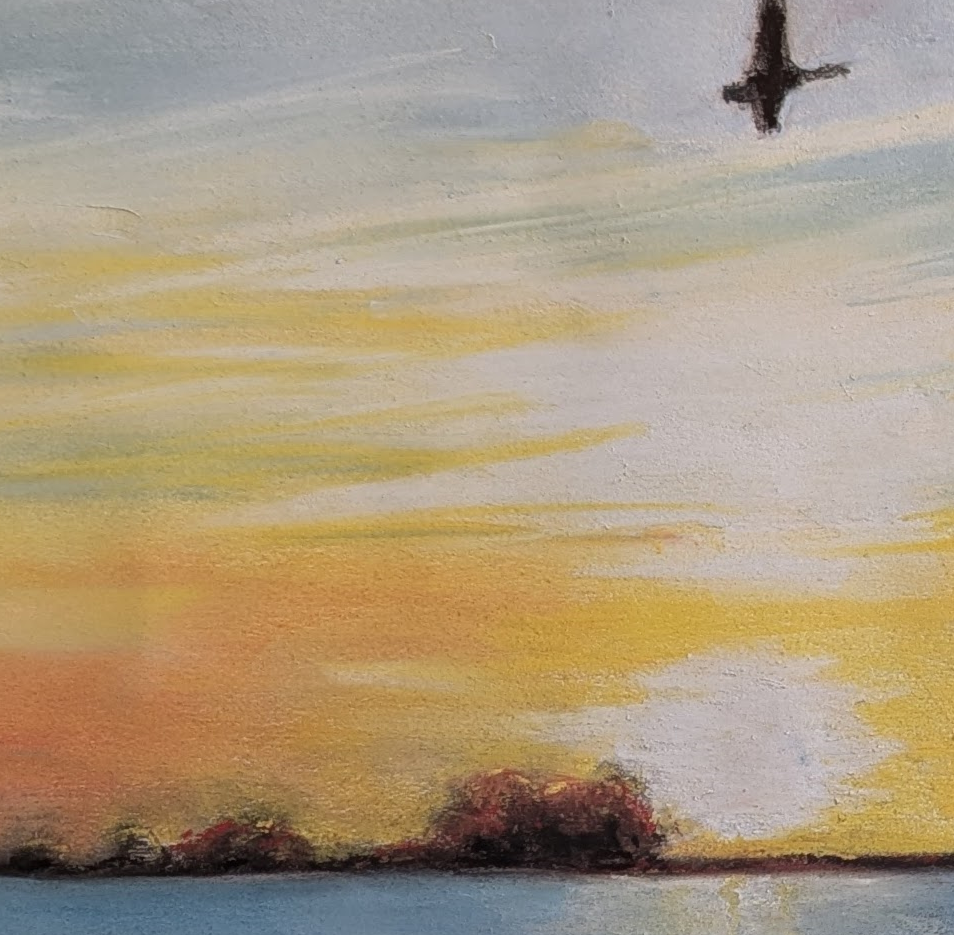 Gros plans coucher de soleil et oiseaux en vol