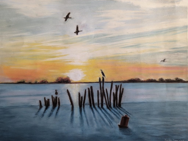 Lumière et reflet du coucher de soleil sur l'eau. Boucheaux et oiseaux marins